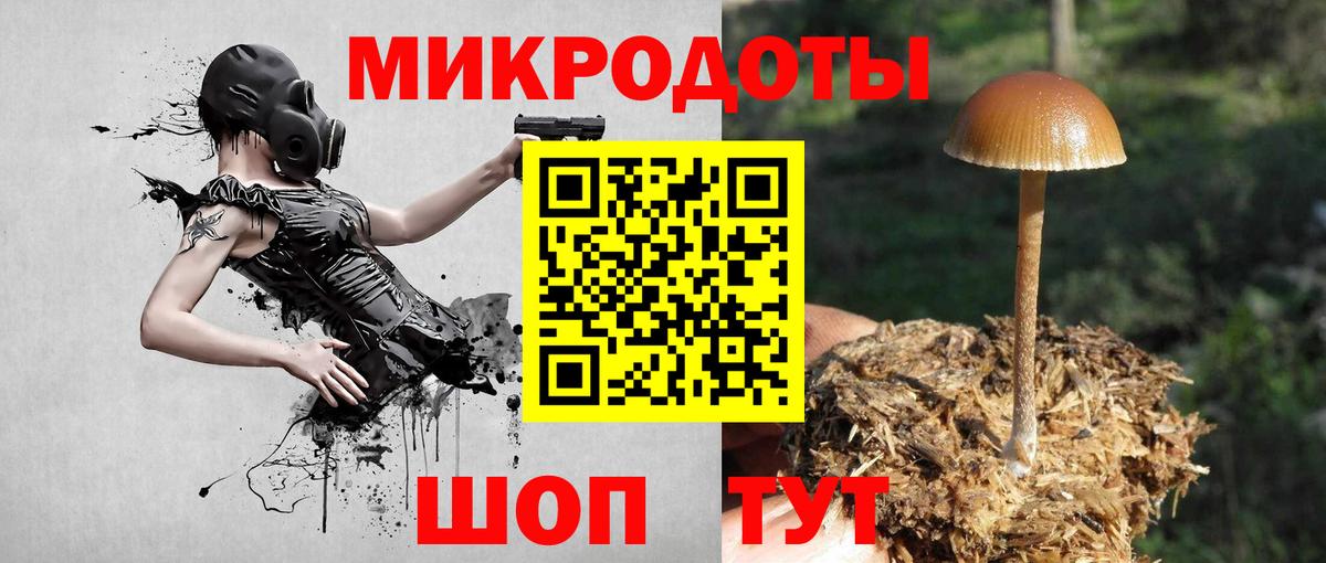 Галлюциногенные грибы прущие грибы  Галлюциногенные грибы Cubensis  Вход с VPN  Михайловка 
